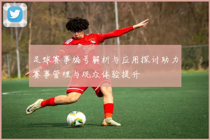 足球赛事编号解析与应用探讨助力赛事管理与观众体验提升